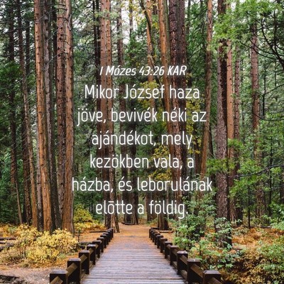 Picture 04 - 1 Mózes 43:26 KAR - Mikor József haza jöve, bevivék néki az - Bible Verse Picture