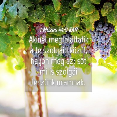 Picture 04 - 1 Mózes 44:9 KAR - Akinél megtaláltatik a te szolgáid közûl, - Bible Verse Picture