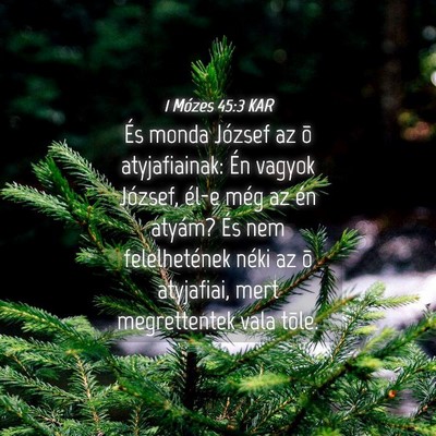 Picture 04 - 1 Mózes 45:3 KAR - És monda József az õ atyjafiainak: Én vagyok - Bible Verse Picture