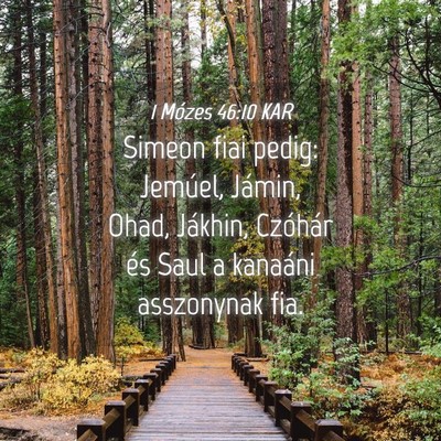 Picture 04 - 1 Mózes 46:10 KAR - Simeon fiai pedig: Jemúel, Jámin, Ohad, - Bible Verse Picture