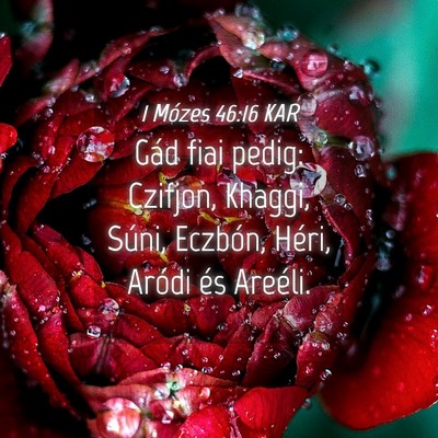 Picture 04 - 1 Mózes 46:16 KAR - Gád fiai pedig: Czifjon, Khaggi, Súni, Eczbón, - Bible Verse Picture