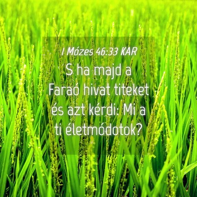 Picture 04 - 1 Mózes 46:33 KAR - S ha majd a Faraó hivat titeket és azt kérdi: - Bible Verse Picture