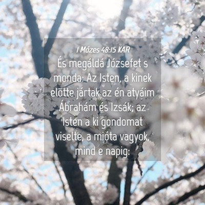 Picture 04 - 1 Mózes 48:15 KAR - És megáldá Józsefet s monda: Az Isten, a - Bible Verse Picture