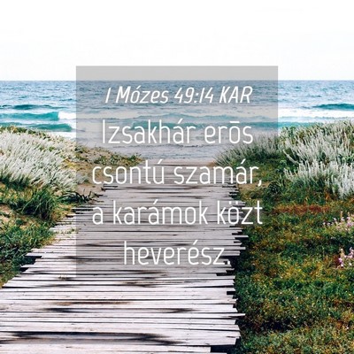 Picture 04 - 1 Mózes 49:14 KAR - Izsakhár erõs csontú szamár, a karámok közt - Bible Verse Picture