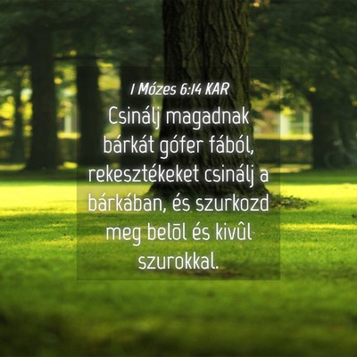 Picture 04 - 1 Mózes 6:14 KAR - Csinálj magadnak bárkát gófer fából, - Bible Verse Picture