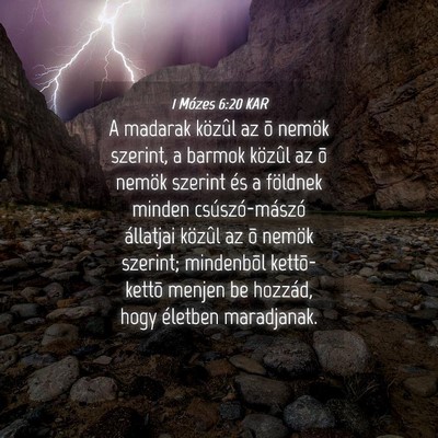 Picture 04 - 1 Mózes 6:20 KAR - A madarak közûl az õ nemök szerint, a barmok - Bible Verse Picture