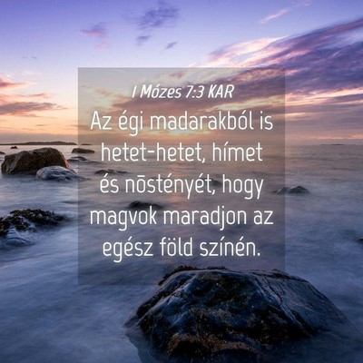 Picture 04 - 1 Mózes 7:3 KAR - Az égi madarakból is hetet-hetet, hímet és - Bible Verse Picture
