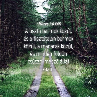 Picture 04 - 1 Mózes 7:8 KAR - A tiszta barmok közûl, és a tisztátalan - Bible Verse Picture