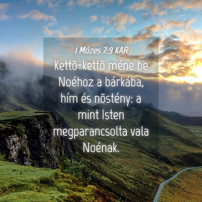 Picture 04 - 1 Mózes 7:9 KAR - Kettõ-kettõ méne be Noéhoz a bárkába, hím - Bible Verse Picture