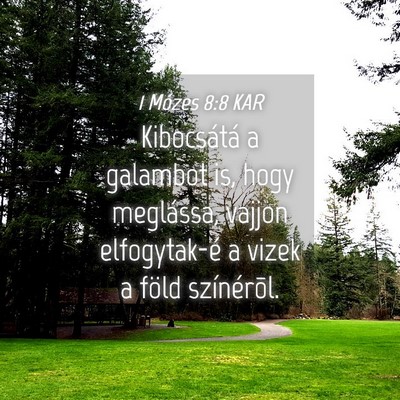Picture 04 - 1 Mózes 8:8 KAR - Kibocsátá a galambot is, hogy meglássa, vajjon - Bible Verse Picture