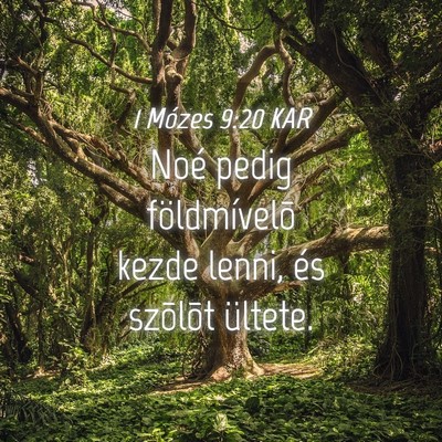 Picture 04 - 1 Mózes 9:20 KAR - Noé pedig földmívelõ kezde lenni, és - Bible Verse Picture