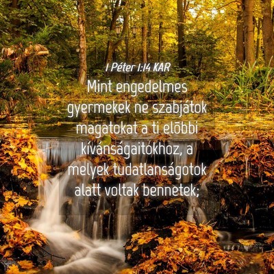 Picture 04 - 1 Péter 1:14 KAR - Mint engedelmes gyermekek ne szabjátok magatokat - Bible Verse Picture