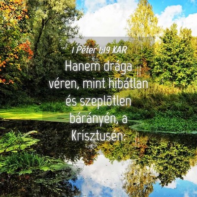 Picture 04 - 1 Péter 1:19 KAR - Hanem drága véren, mint hibátlan és - Bible Verse Picture