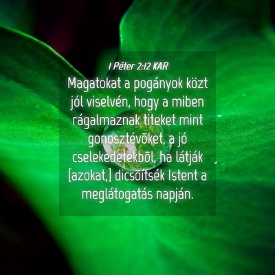 Picture 04 - 1 Péter 2:12 KAR - Magatokat a pogányok közt jól viselvén, hogy - Bible Verse Picture