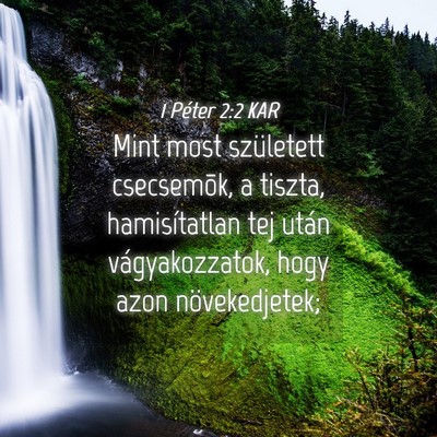 Picture 04 - 1 Péter 2:2 KAR - Mint most született csecsemõk, a tiszta, - Bible Verse Picture