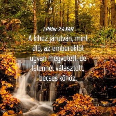 Picture 04 - 1 Péter 2:4 KAR - A kihez járulván, mint élõ, az emberektõl - Bible Verse Picture
