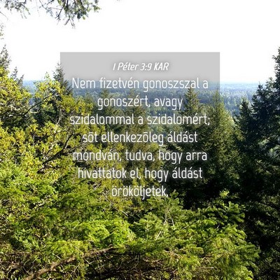 Picture 04 - 1 Péter 3:9 KAR - Nem fizetvén gonoszszal a gonoszért, avagy - Bible Verse Picture