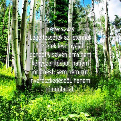Picture 04 - 1 Péter 5:2 KAR - Legeltessétek az Istennek köztetek lévõ - Bible Verse Picture