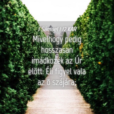 Picture 04 - 1 Sámuel 1:12 KAR - Mivelhogy pedig hosszasan imádkozék az Úr - Bible Verse Picture