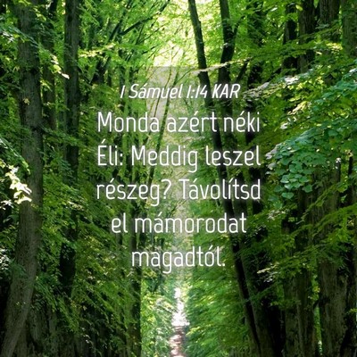 Picture 04 - 1 Sámuel 1:14 KAR - Monda azért néki Éli: Meddig leszel részeg? - Bible Verse Picture