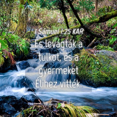 Picture 04 - 1 Sámuel 1:25 KAR - És levágták a tulkot, és a gyermeket Élihez - Bible Verse Picture