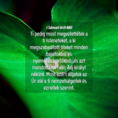 Picture 04 - 1 Sámuel 10:19 KAR - Ti pedig most megvetettétek a ti Isteneteket, a - Bible Verse Picture