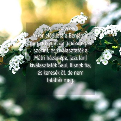 Picture 04 - 1 Sámuel 10:21 KAR - Akkor elõállatá a Benjámin nemzetségét az - Bible Verse Picture