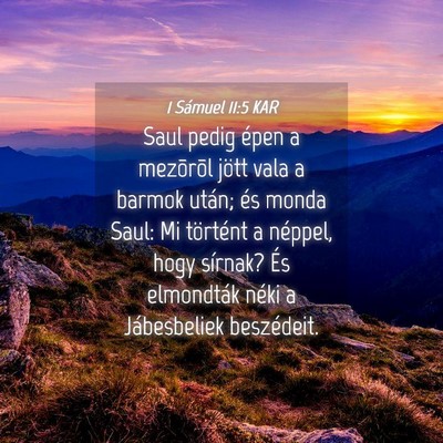Picture 04 - 1 Sámuel 11:5 KAR - Saul pedig épen a mezõrõl jött vala a barmok - Bible Verse Picture