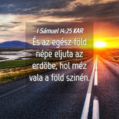 Picture 04 - 1 Sámuel 14:25 KAR - És az egész föld népe eljuta az erdõbe, hol - Bible Verse Picture