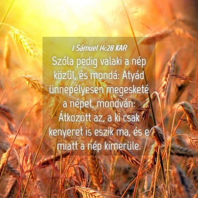 Picture 04 - 1 Sámuel 14:28 KAR - Szóla pedig valaki a nép közül, és mondá: - Bible Verse Picture