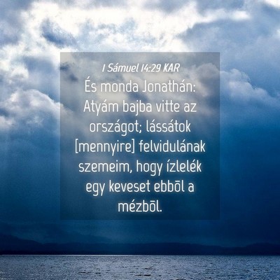 Picture 04 - 1 Sámuel 14:29 KAR - És monda Jonathán: Atyám bajba vitte az - Bible Verse Picture