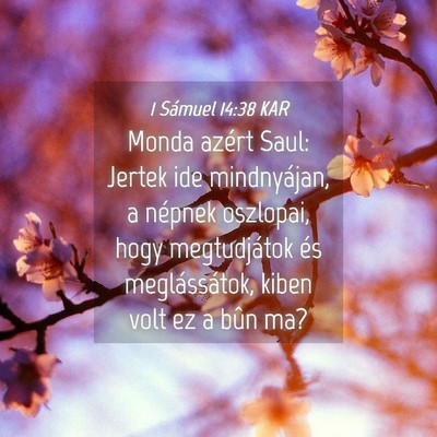 Picture 04 - 1 Sámuel 14:38 KAR - Monda azért Saul: Jertek ide mindnyájan, a - Bible Verse Picture