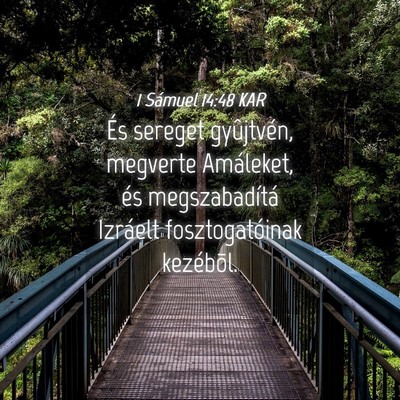Picture 04 - 1 Sámuel 14:48 KAR - És sereget gyûjtvén, megverte Amáleket, és - Bible Verse Picture