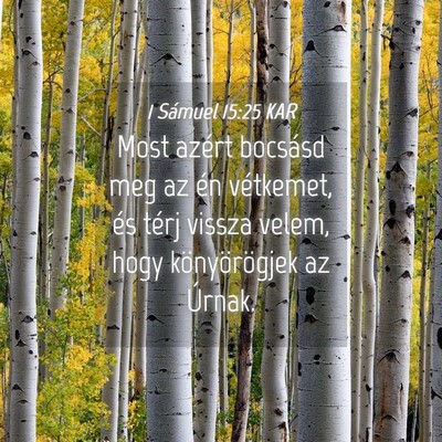 Picture 04 - 1 Sámuel 15:25 KAR - Most azért bocsásd meg az én vétkemet, és - Bible Verse Picture