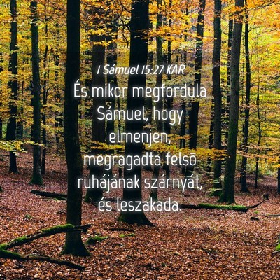 Picture 04 - 1 Sámuel 15:27 KAR - És mikor megfordula Sámuel, hogy elmenjen, - Bible Verse Picture