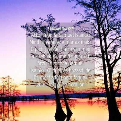 Picture 04 - 1 Sámuel 16:11 KAR - Akkor monda Sámuel Isainak: Mind itt vannak-é - Bible Verse Picture