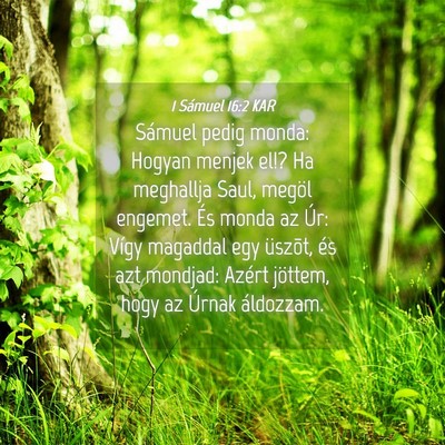 Picture 04 - 1 Sámuel 16:2 KAR - Sámuel pedig monda: Hogyan menjek el!? Ha - Bible Verse Picture