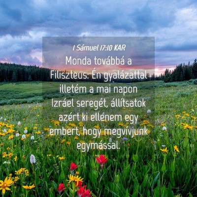Picture 04 - 1 Sámuel 17:10 KAR - Monda továbbá a Filiszteus: Én gyalázattal - Bible Verse Picture