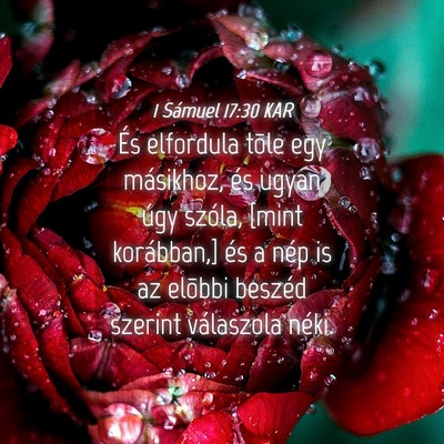 Picture 04 - 1 Sámuel 17:30 KAR - És elfordula tõle egy másikhoz, és ugyan úgy - Bible Verse Picture