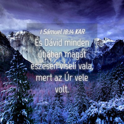 Picture 04 - 1 Sámuel 18:14 KAR - És Dávid minden útjában magát eszesen viseli - Bible Verse Picture