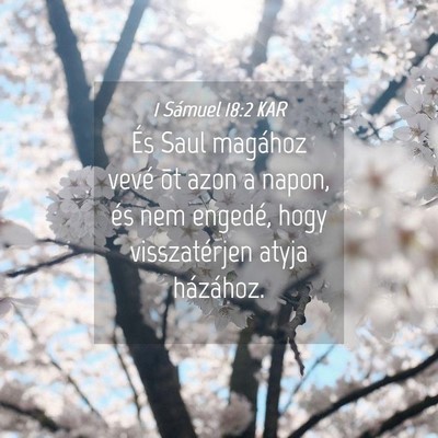 Picture 04 - 1 Sámuel 18:2 KAR - És Saul magához vevé õt azon a napon, és nem - Bible Verse Picture