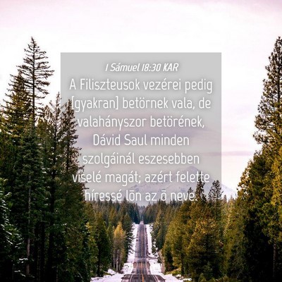 Picture 04 - 1 Sámuel 18:30 KAR - A Filiszteusok vezérei pedig [gyakran] betörnek - Bible Verse Picture