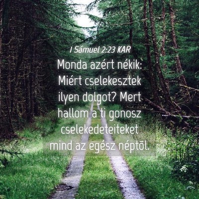 Picture 04 - 1 Sámuel 2:23 KAR - Monda azért nékik: Miért cselekesztek ilyen - Bible Verse Picture