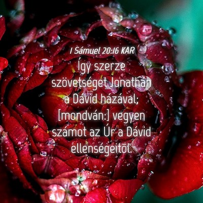 Picture 04 - 1 Sámuel 20:16 KAR - Így szerze szövetséget Jonathán a Dávid - Bible Verse Picture
