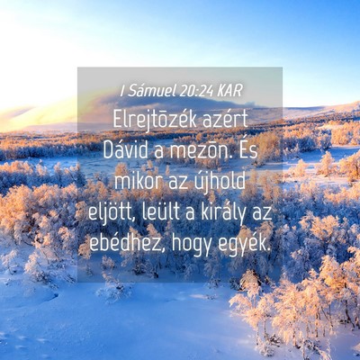 Picture 04 - 1 Sámuel 20:24 KAR - Elrejtõzék azért Dávid a mezõn. És mikor az - Bible Verse Picture