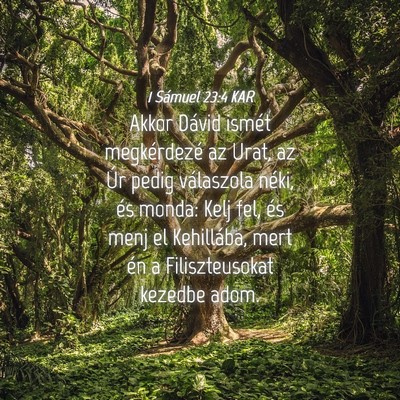 Picture 04 - 1 Sámuel 23:4 KAR - Akkor Dávid ismét megkérdezé az Urat, az Úr - Bible Verse Picture