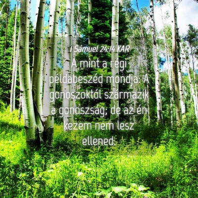 Picture 04 - 1 Sámuel 24:14 KAR - A mint a régi példabeszéd mondja: A - Bible Verse Picture