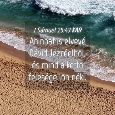 Picture 04 - 1 Sámuel 25:43 KAR - Ahinoát is elvevé Dávid Jezréelbõl, és mind - Bible Verse Picture