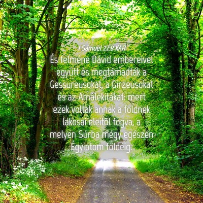 Picture 04 - 1 Sámuel 27:8 KAR - És felméne Dávid embereivel együtt és - Bible Verse Picture