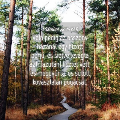 Picture 04 - 1 Sámuel 28:24 KAR - Vala pedig az asszony házánál egy hízott - Bible Verse Picture